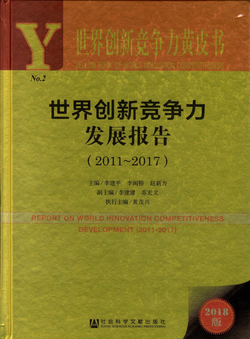 啊啊啊插进去逼逼视频世界创新竞争力发展报告（2011-2017）